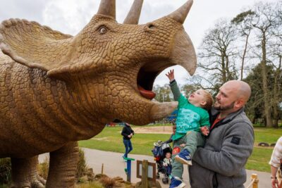 Explore even more with a jam-packed June at ROARR!